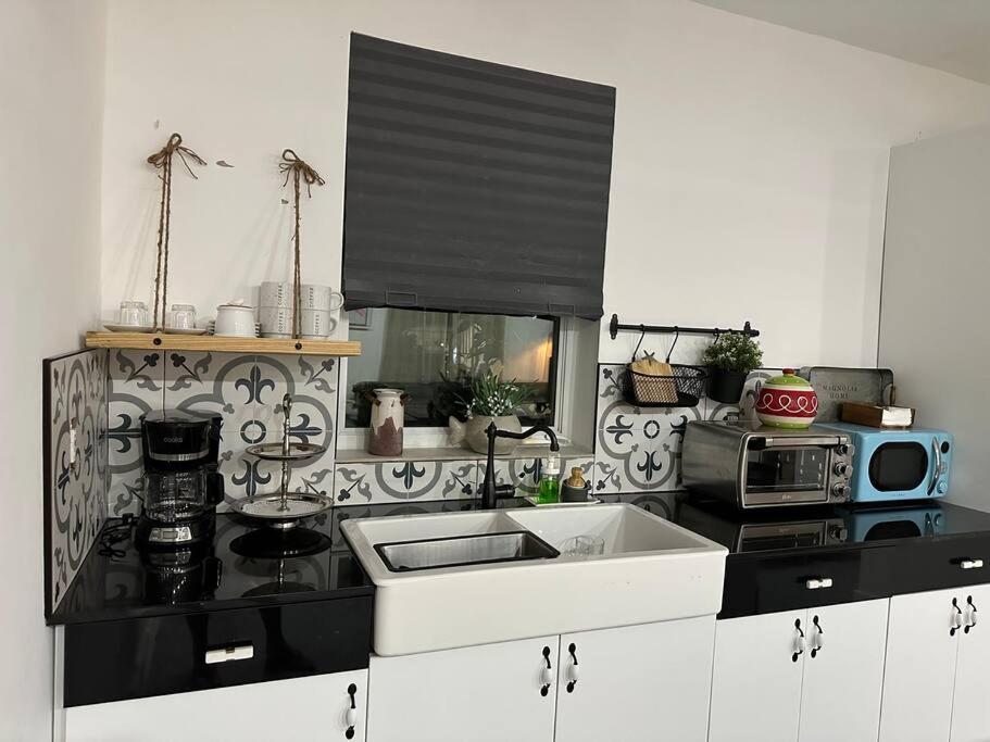 Flora'S Garden Apartment/Studio North Miami Dış mekan fotoğraf