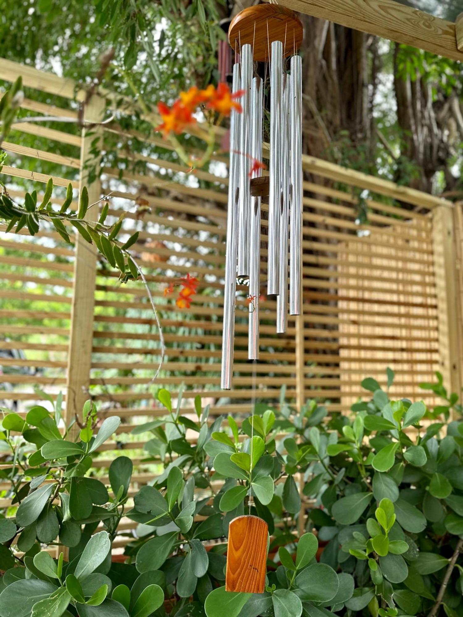 Flora'S Garden Apartment/Studio North Miami Dış mekan fotoğraf